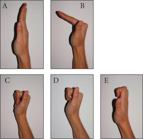 Mouvements des mains et des doigts : à gauche, supination et