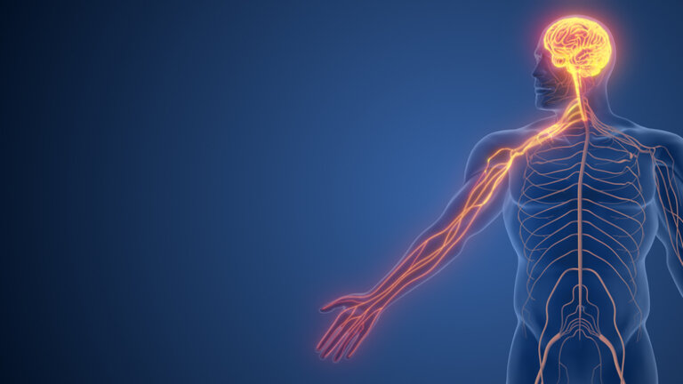 Les troubles neurologiques fonctionnels : diagnostic et prise en charge