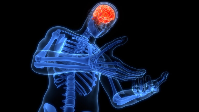 Physiothérapie vestibulaire