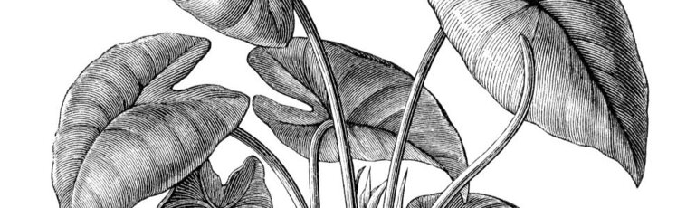 24e Symposium romand d'ostéopathie et de physiothérapie