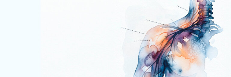 Les douleurs du membre supérieur liées au rachis cervical: du bilan au traitement